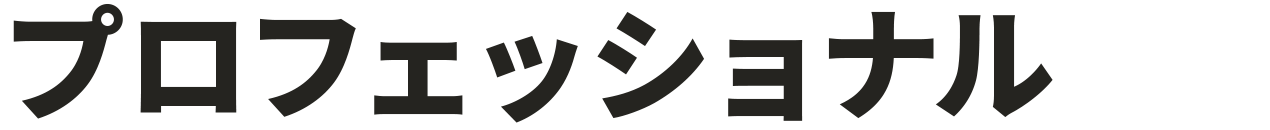 プロフェッショナル